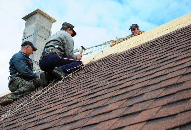 Best Storm Damage Roof Repair  in Scaggsville, MD